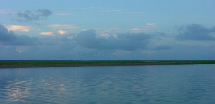 Charleston Paddling and the Tide: When to Go (and When Not To)