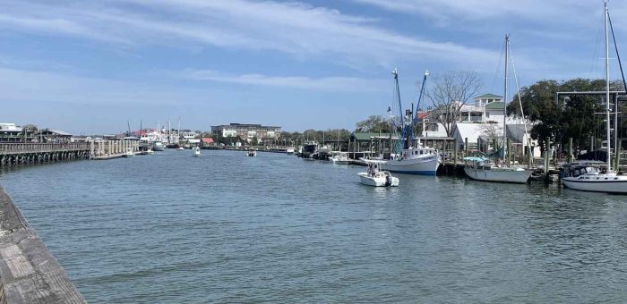 Where to Kayak Around Charleston: 6 Beginner-Friendly Spots