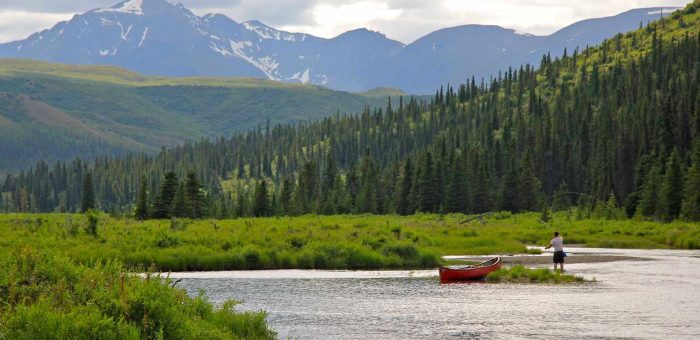 The Health Benefits of Kayaking