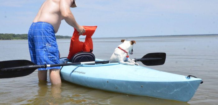 How to Stay Safe While Kayaking Around Charleston