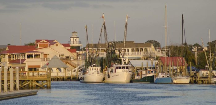 Your First SUP Session on Shem Creek: What to Know