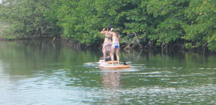 What Is Stand-Up Paddleboarding (SUP)?